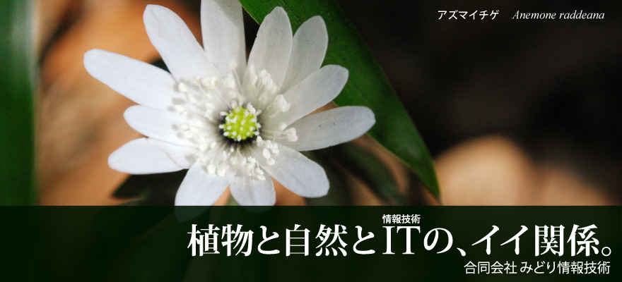 みどり情報技術