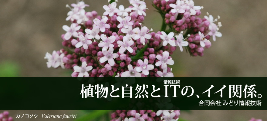 みどり情報技術