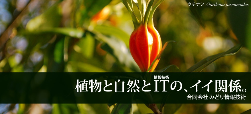 みどり情報技術