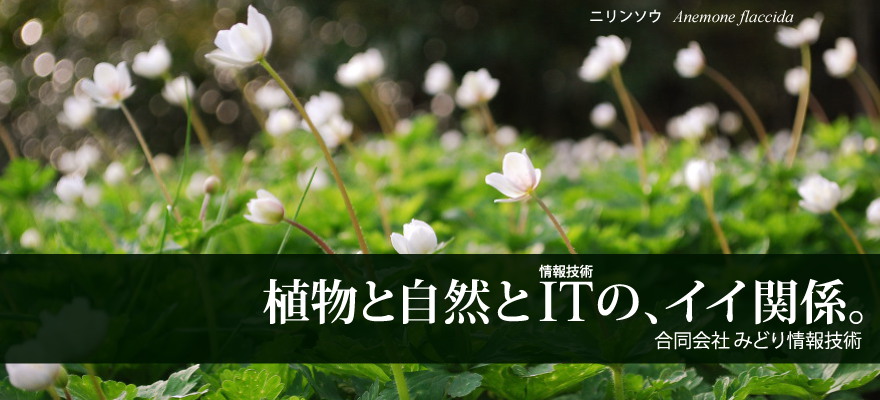 みどり情報技術