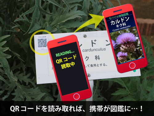 QRコードを読み取れば、携帯が図鑑に